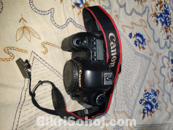 Canon 6D